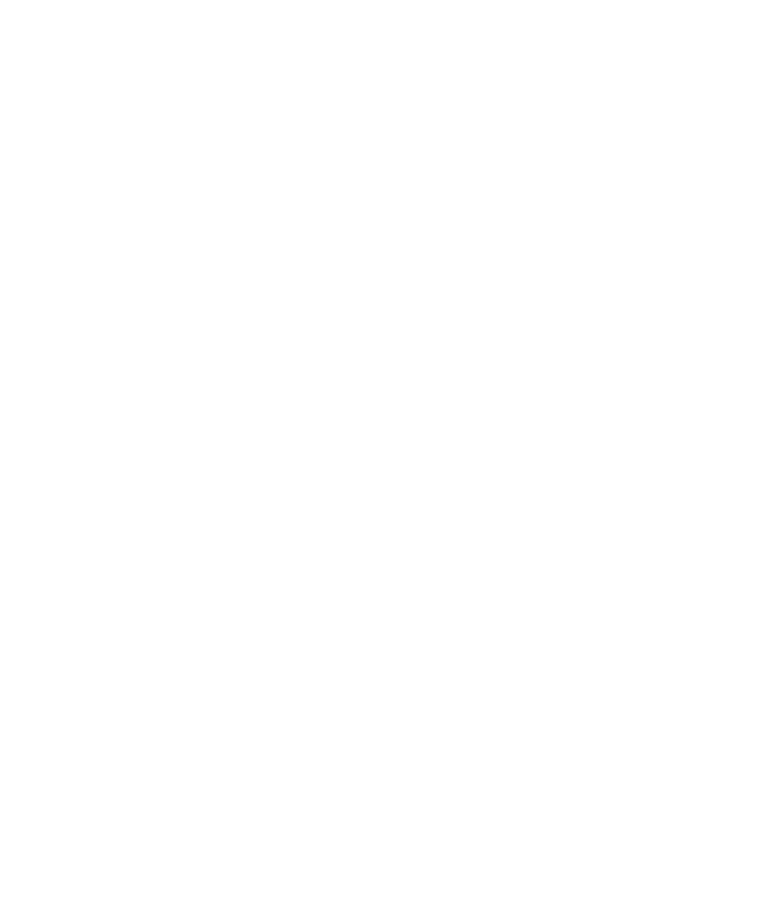 VA-logo-vignet-wit